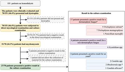 Prevalence and risk predictors of onychomycosis in patients on hemodialysis: an observation, prospective, and unicenter study in Brazil